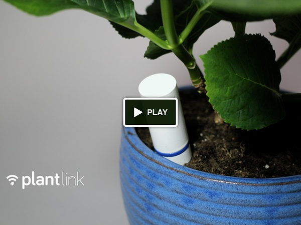 plantlink-video